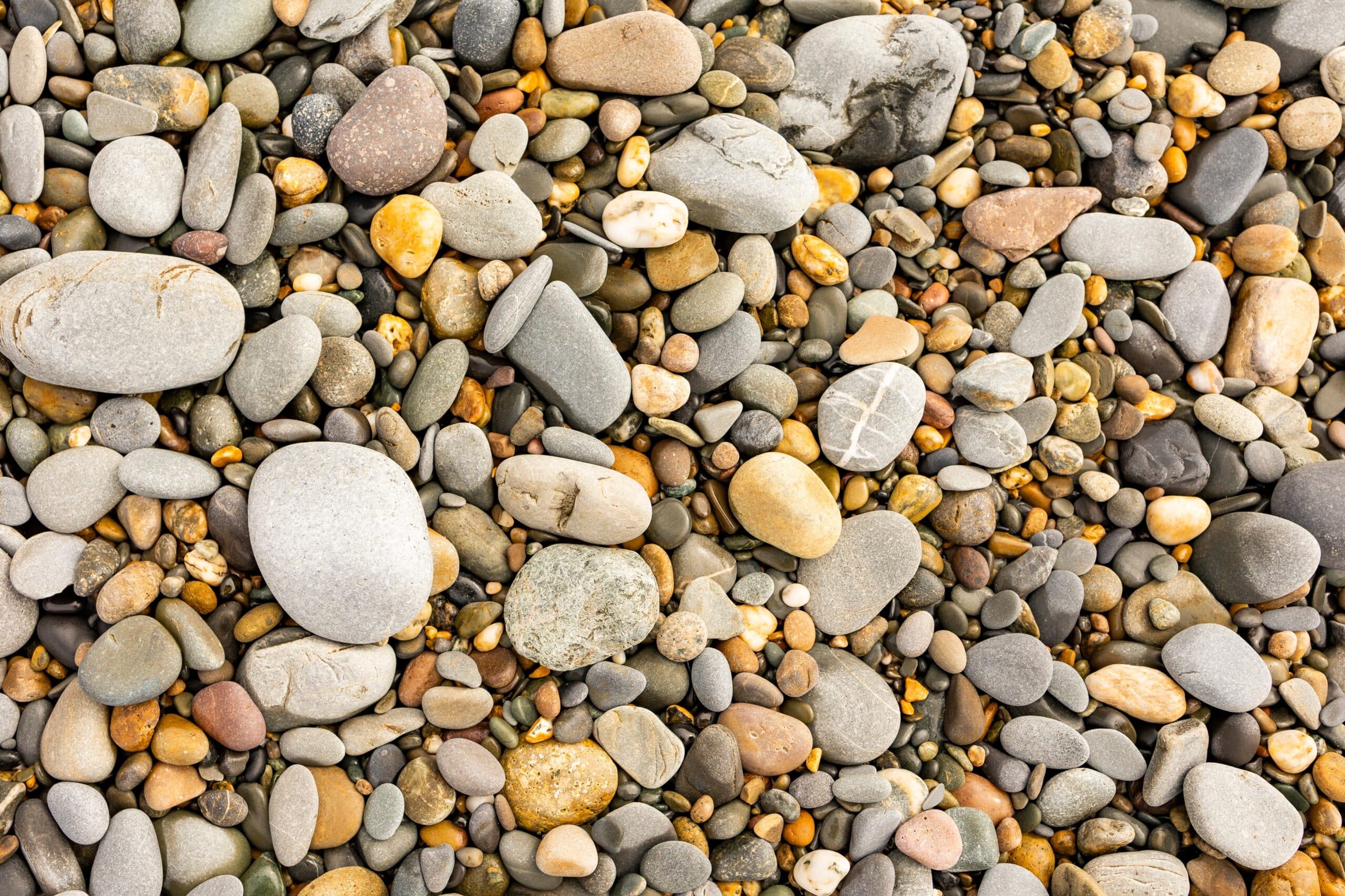 shingle supplier