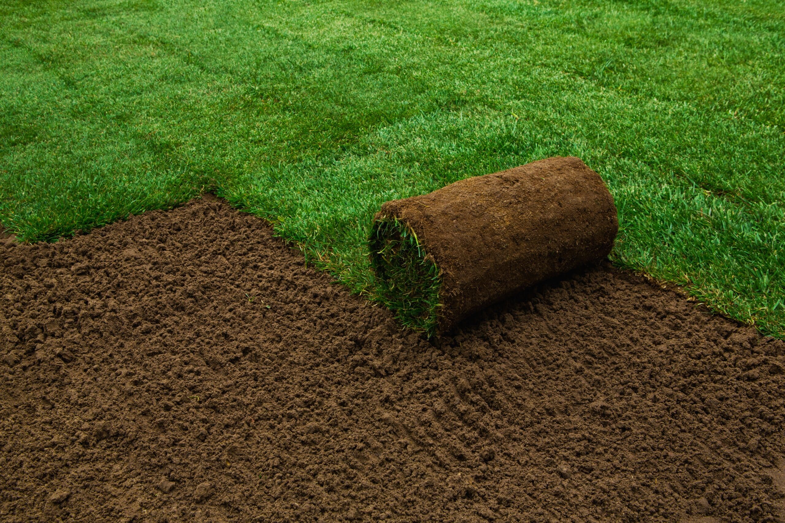 top soil
